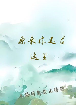 原来你还在这里 小说